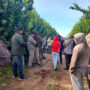 El 80% de los trabajadores citrícolas no están registrados en Metán