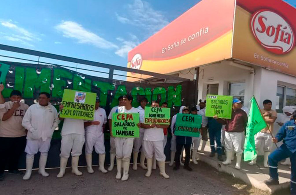 Crece el conflicto avícola: anunciaron un paro nacional para el próximo miércoles