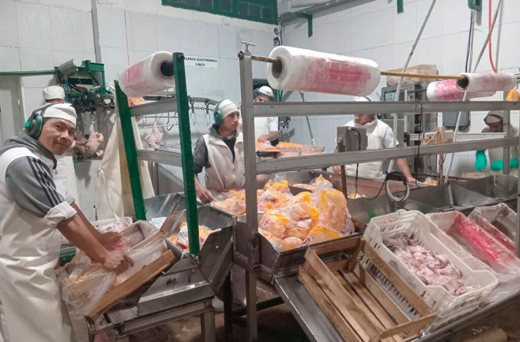 Alimentación firmó la paritaria avícola con aumentos y una suma fija de $190.000