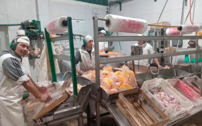 Alimentación firmó la paritaria avícola con aumentos y una suma fija de $190.000