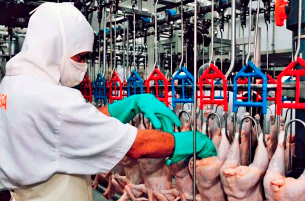 Los trabajadores avícolas levantan el paro anunciado después de acordar un salario básico de 950.000 pesos