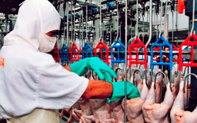 Los trabajadores avícolas levantan el paro anunciado después de acordar un salario básico de 950.000 pesos