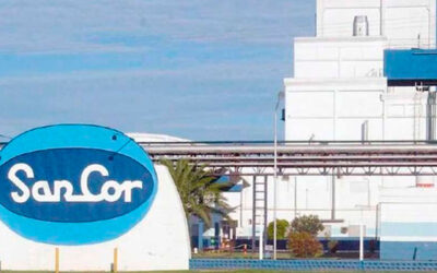 Crisis de SanCor: la láctea quiere frenar el remate de 680.000 kilos de queso