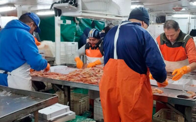 Marítimos pedirán la inconstitucionalidad de la reforma de Ganancias