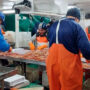 Marítimos pedirán la inconstitucionalidad de la reforma de Ganancias