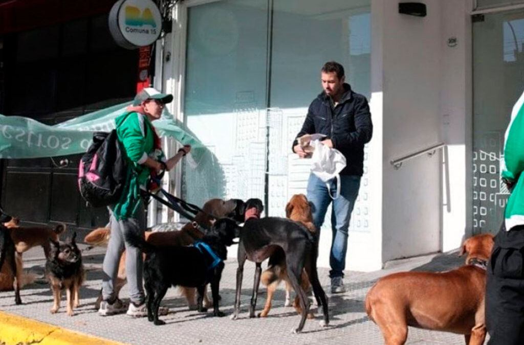 El STC le respondió a Trabajo y continúa su lucha por los derechos laborales