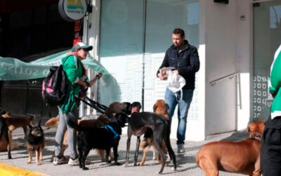 El STC le respondió a Trabajo y continúa su lucha por los derechos laborales