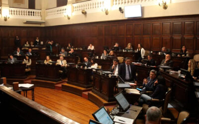 El Gobierno intentará quitarle la tutela sindical a una empleada de la Legislatura