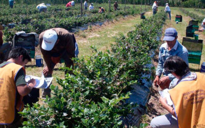 Denunciando “gravísimos incumplimientos”, el Gobierno intervino la obra social de la UATRE