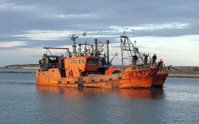Conflicto del SOMU. Congeladores detuvieron actividad en Madryn