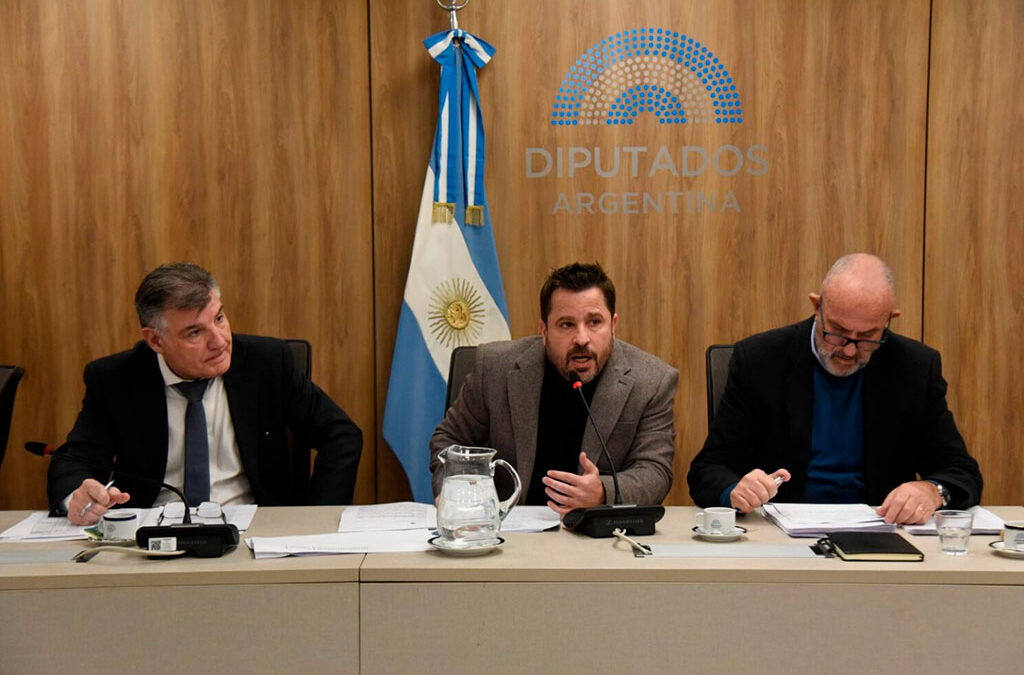Diputados comenzó a debatir modificaciones en leyes claves para el sindicalismo