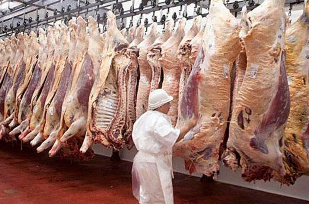 Frigoríficos en alerta por caída del consumo de carne y pérdida de competitividad para exportar