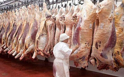Frigoríficos en alerta por caída del consumo de carne y pérdida de competitividad para exportar