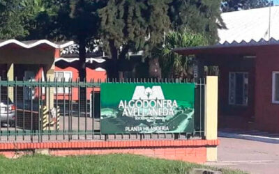 La algodonera del grupo Vicentín entró en crisis y toma una importante decisión con sus empleados