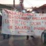 La algodonera Avellaneda del Grupo Vicentín le recortó el 25% del salario a 420 trabajadores