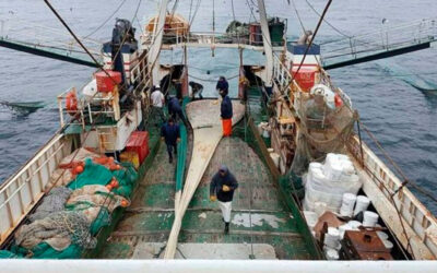 Capitanes de Pesca vs. Ganancias: hay trabajadores que llegaron a pagar hasta 20 millones de pesos, en 4 meses