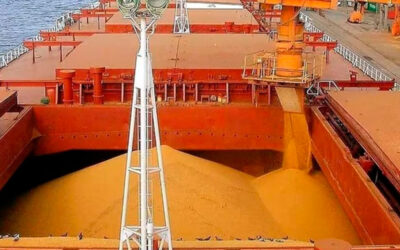 La Secretaría de Trabajo busca destrabar el conflicto gremial en la industria aceitera que afecta el ingreso de divisas