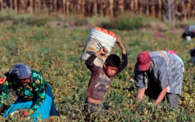 Crece el empleo informal: 568.000 más de trabajadores no registrados en los últimos cuatro años