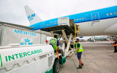 Trabajadores de Intercargo hacen asambleas en Aeroparque y Ezeiza: hay demoras y vuelos afectados