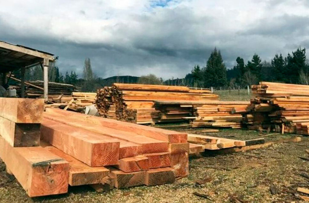 Por la caída en las ventas, Celulosa Argentina cerró el aserradero de pino San Charbel y despidió a sus 70 trabajadores