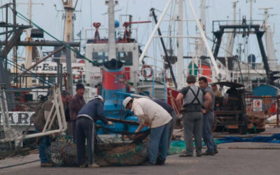 Puerto de Mar del Plata: Diputado denunció a funcionarios de Milei por pedir sobornos