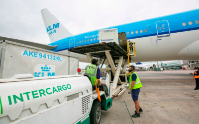 Aeronáuticos denunciaron un despido injustificado en Intercargo, por lo que están en asamblea: «Es una provocación»