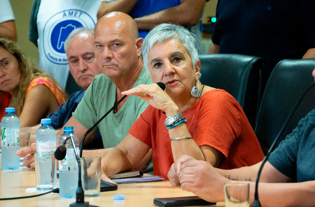 Jaureguiberry reclamó la creación de un “fondo nacional con recursos” para educación