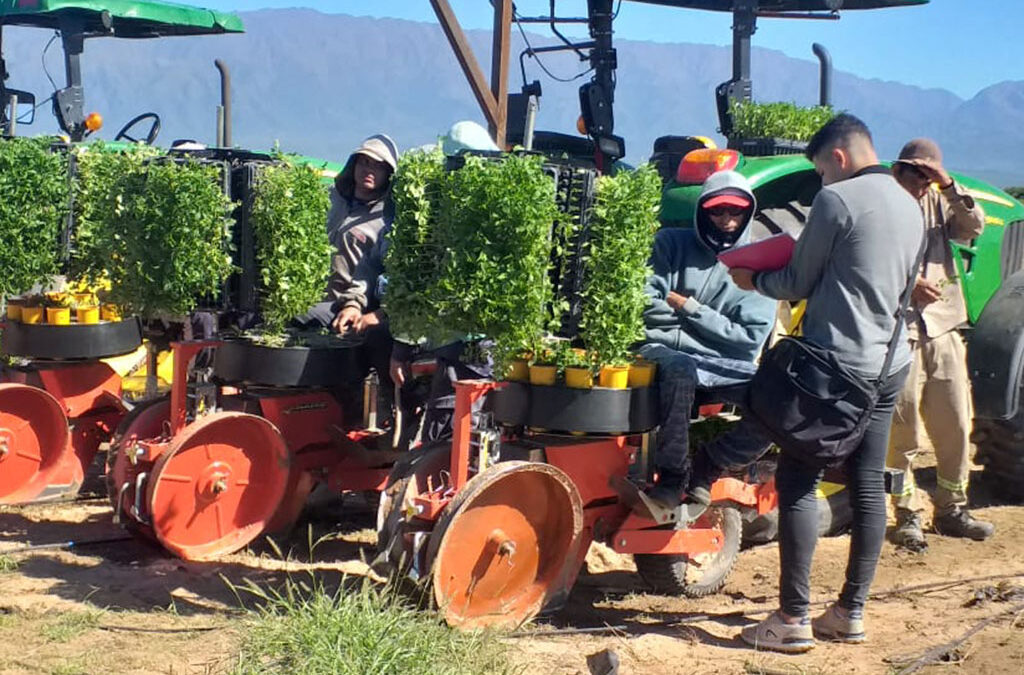 Trabajadores rurales: Se oficializaron las nuevas escalas salariales hasta febrero de 2025