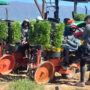 Trabajadores rurales: Se oficializaron las nuevas escalas salariales hasta febrero de 2025