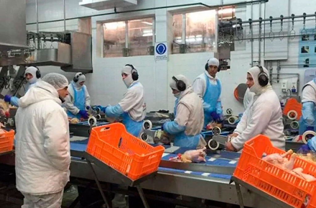 Despidos y recorte de sueldos: la principal avícola del país pidió el proceso preventivo de crisis