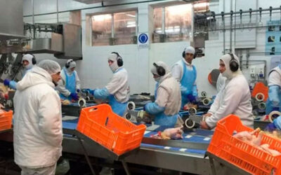 Despidos y recorte de sueldos: la principal avícola del país pidió el proceso preventivo de crisis