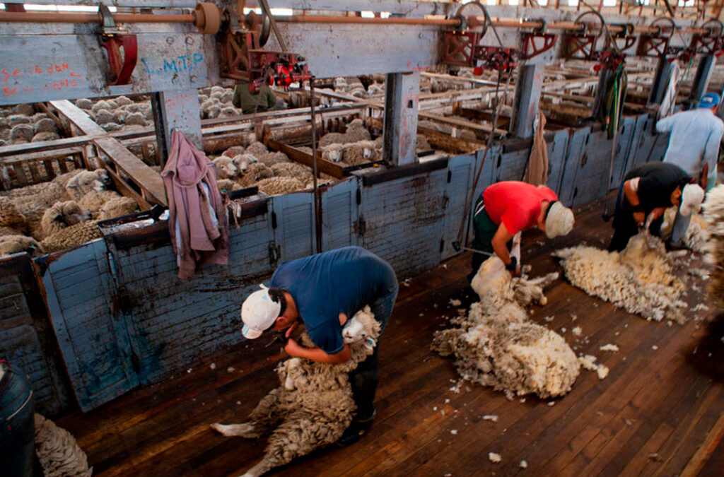 UATRE acordó un aumento del 14,4% en cuatro tramos para los trabajadores rurales