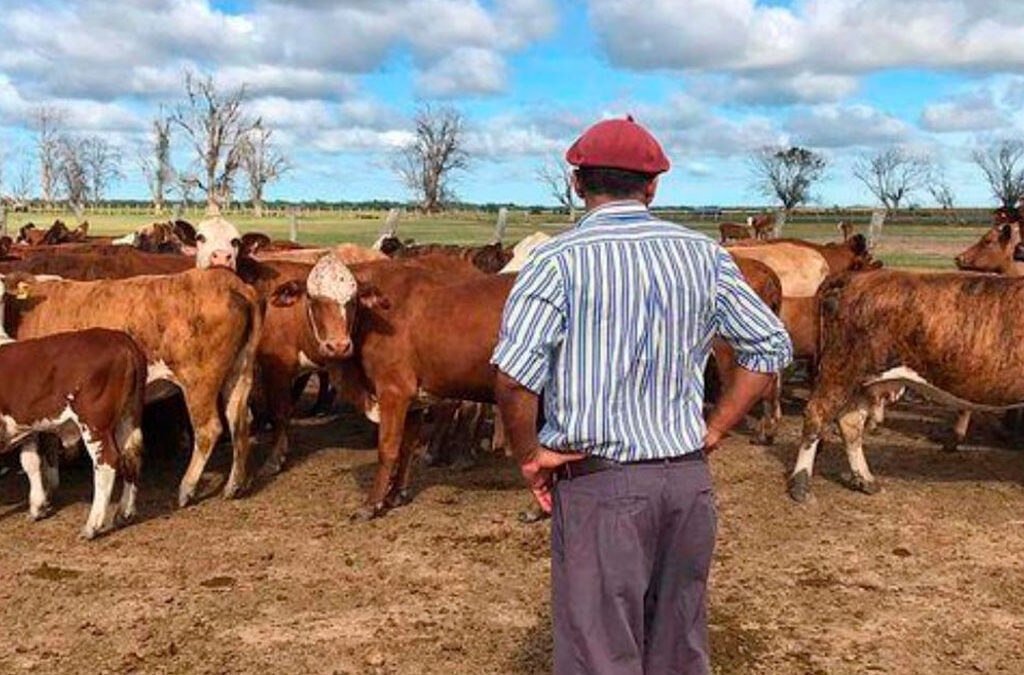 Nuevo aumento para trabajadores rurales: cómo quedan los básicos en diciembre 2024