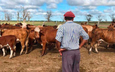 Nuevo aumento para trabajadores rurales: cómo quedan los básicos en diciembre 2024