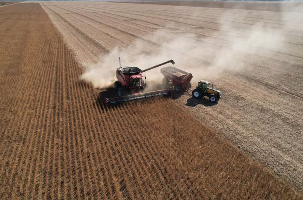 La soja no levanta y pone en rojo los márgenes brutos de los productores
