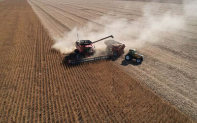 La soja no levanta y pone en rojo los márgenes brutos de los productores