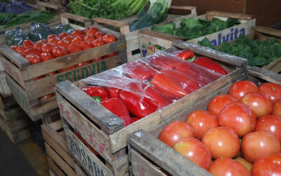 Agroalimentos: el consumidor pagó 3,6 veces más de los que cobró el productor en noviembre