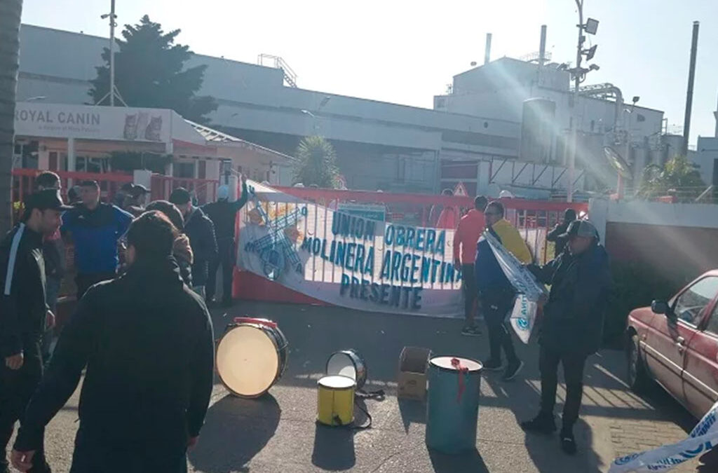 Despidos en la fábrica de alimentos para mascotas Royal Canin por baja en las ventas