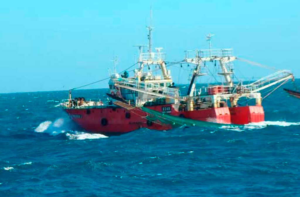 Pesca: funcionarios ineptos y empresarios sin estrategia
