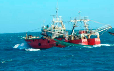 Pesca: funcionarios ineptos y empresarios sin estrategia