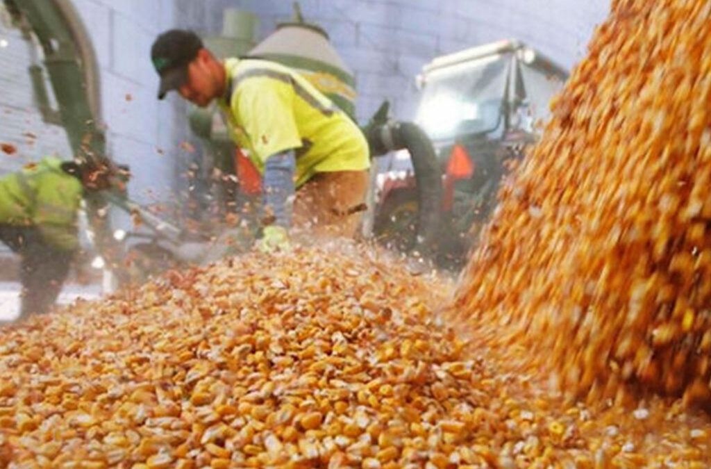URGARA acordó Bono 2024 solo con Coninagro ante negativa de Federación Acopiadores