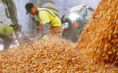 URGARA acordó Bono 2024 solo con Coninagro ante negativa de Federación Acopiadores