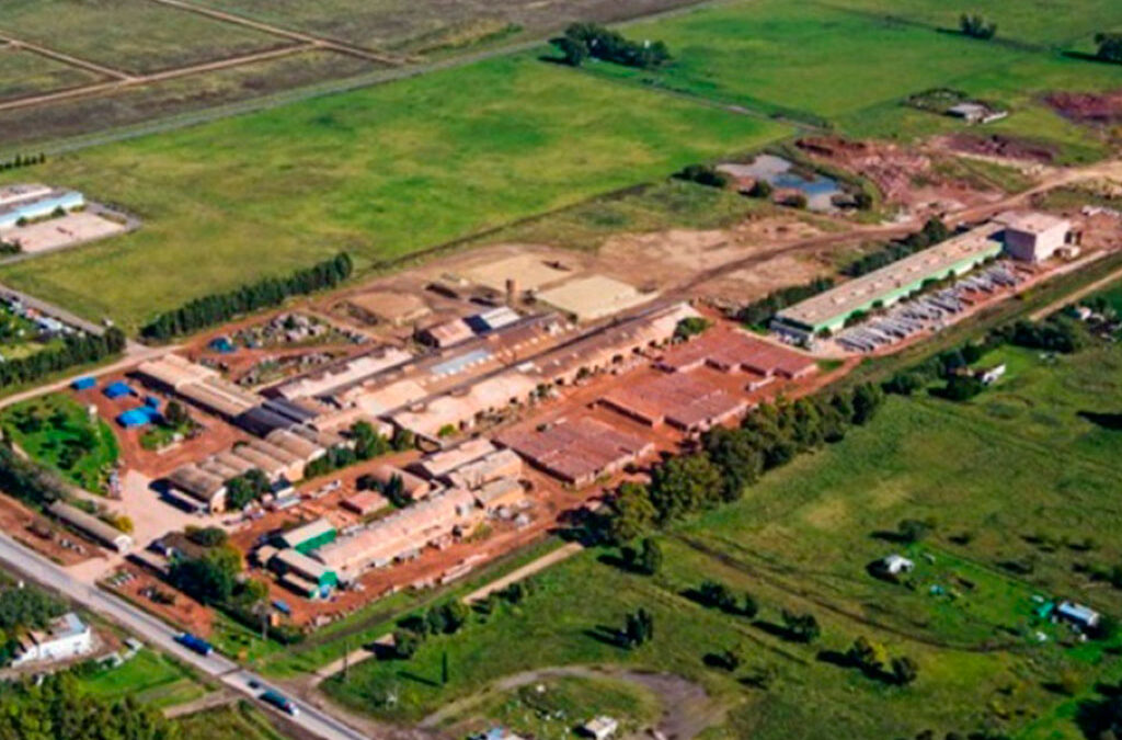La recesión no perdona: Cerro Negro paralizó su planta de ladrillos y suspendió trabajadores