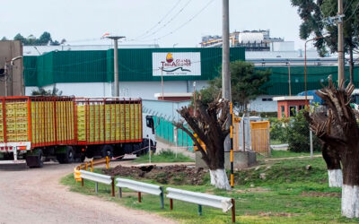 Granja Tres Arroyos despidió a 70 trabajadores y amenaza con 400 cesantías más