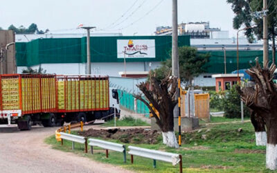 En Entre Ríos se agitan las aguas: Granja Tres Arroyos quiere ensanchar la lista de despidos