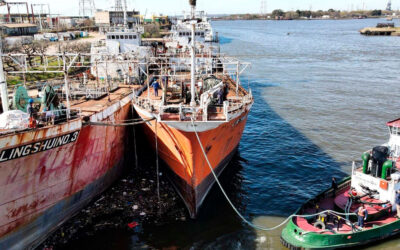Crece la tensión en el sistema portuario del país por el conflicto que atraviesan los Serenos de Buques