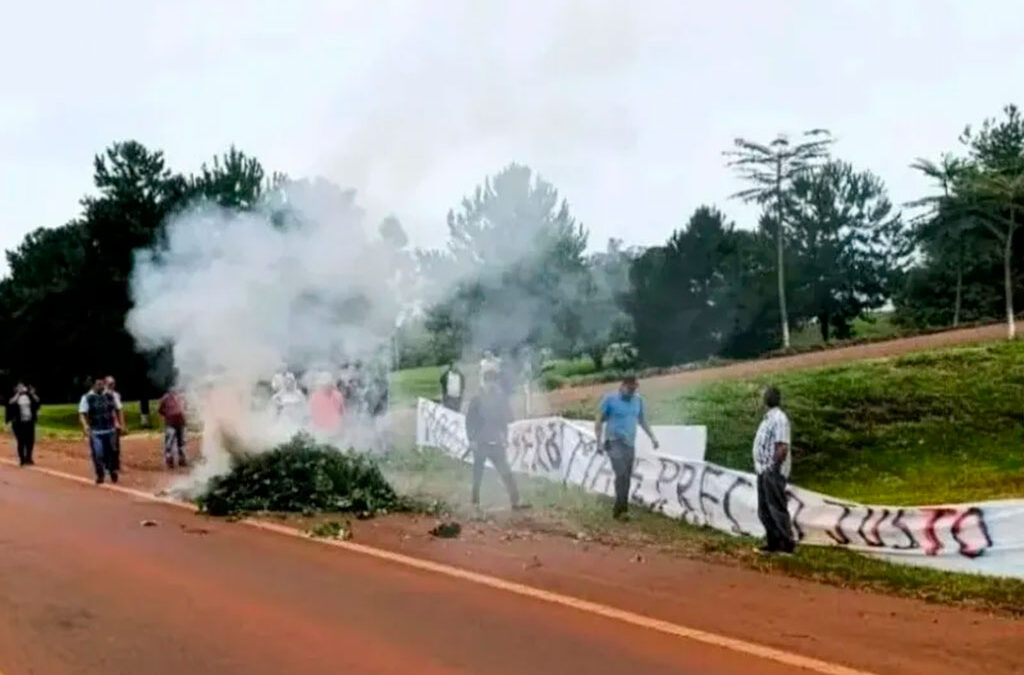 Productores queman plantas de yerba mate en Misiones para protestar por los precios que reciben tras la desregulación del sector