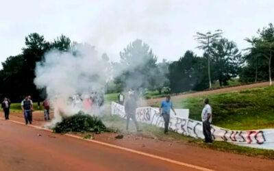 Productores queman plantas de yerba mate en Misiones para protestar por los precios que reciben tras la desregulación del sector