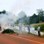 Productores queman plantas de yerba mate en Misiones para protestar por los precios que reciben tras la desregulación del sector