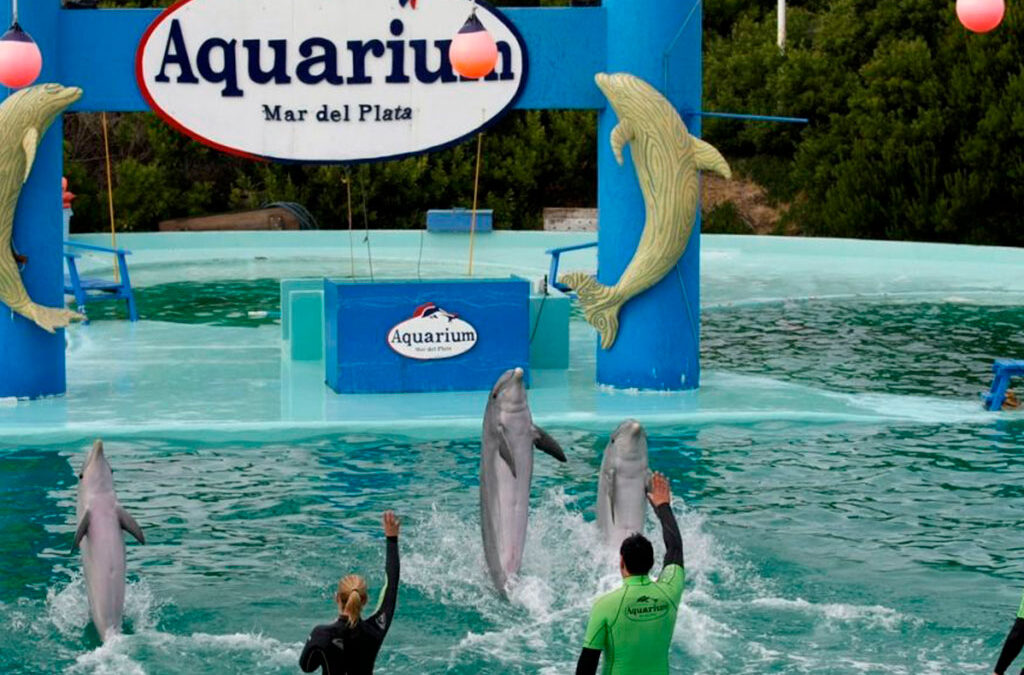 Anuncian el cierre del Aquarium de Mar del Plata y hay cerca de 200 empleos en riesgo